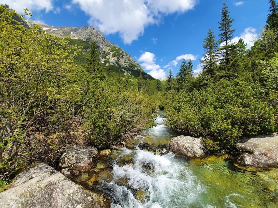 Apartman Ve Vysokych Tatrach Štrbské Pleso 외부 사진